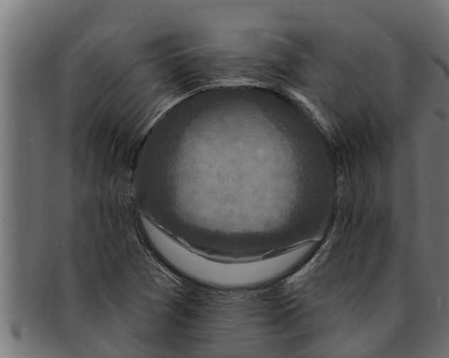 X0000091691361200709201250