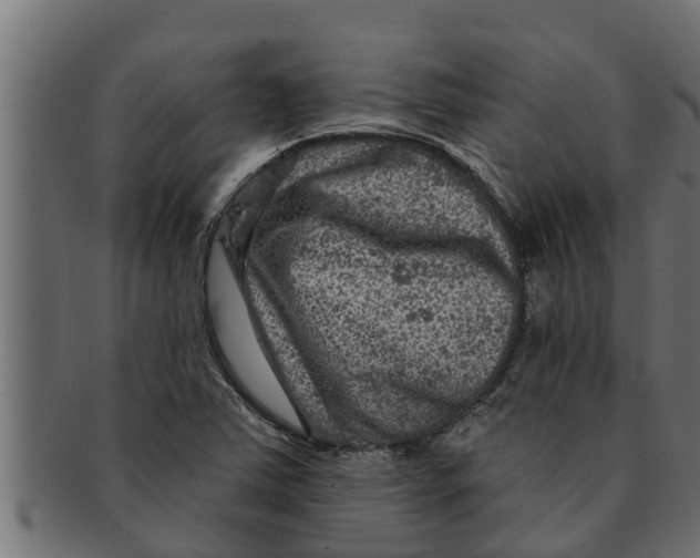 X0000091691363200709201250