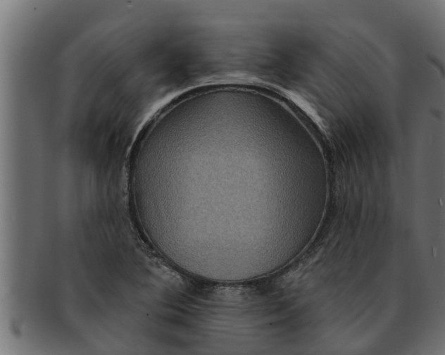 X0000091691364200709201250