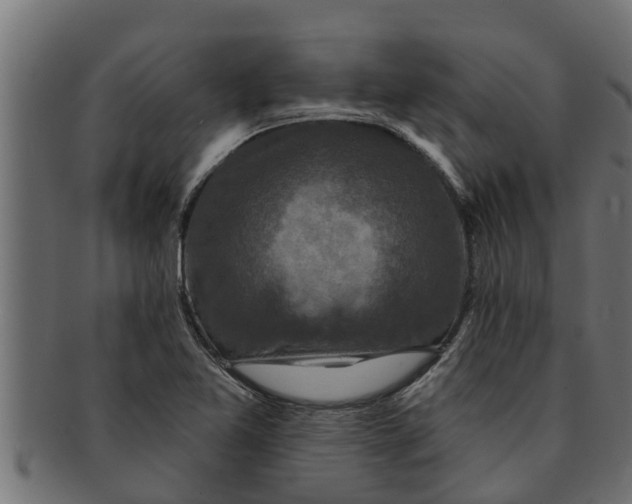 X0000091691365200709201250