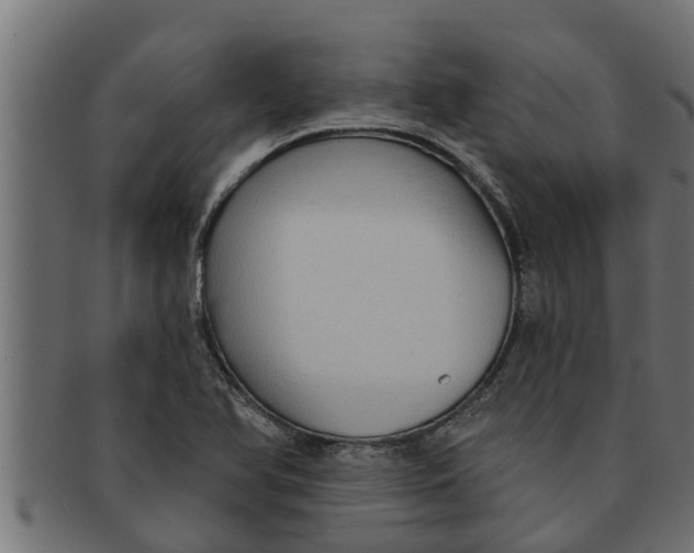 X0000091691366200709201250