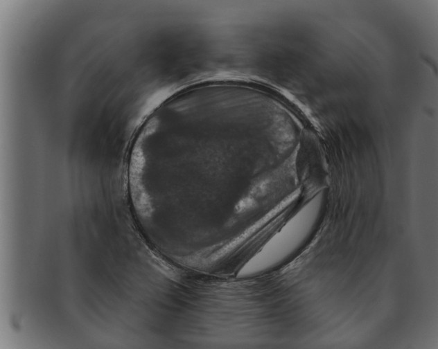 X0000091691367200709201250