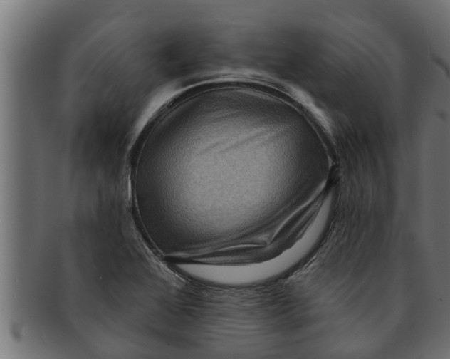 X0000091691368200709201250