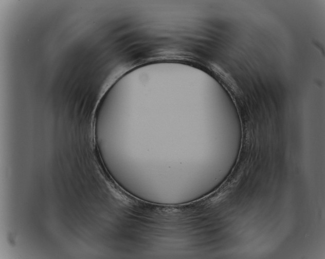 X0000091691370200709201250