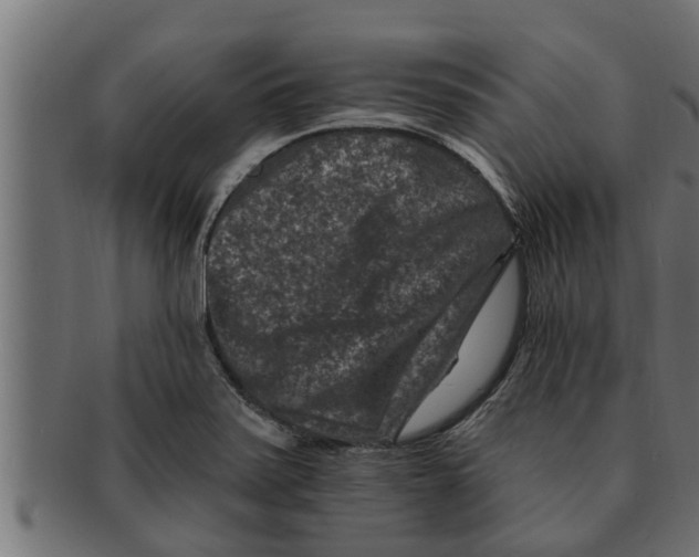 X0000091691371200709201250