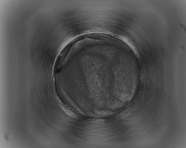 X0000091691372200709201250