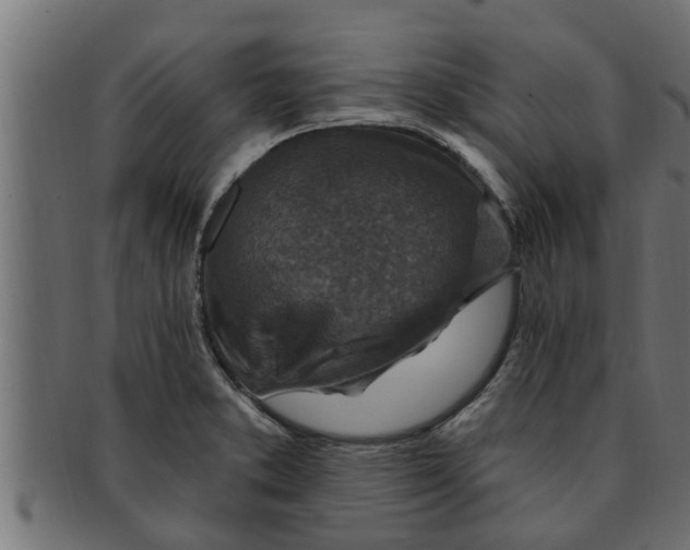 X0000091691373200709201250