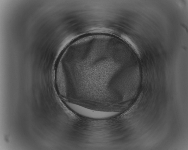 X0000091691376200709201250