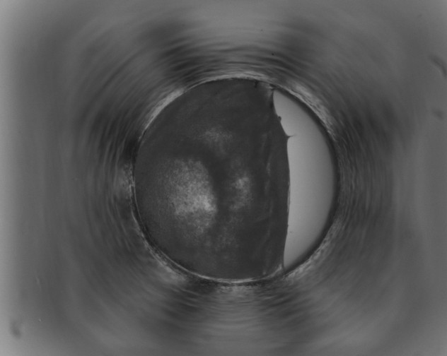 X0000091691377200709201250