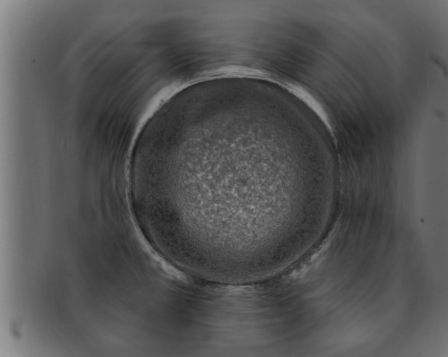 X0000091691381200709201250