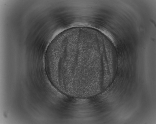 X0000091691382200709201250