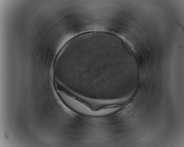 X0000091691383200709201250