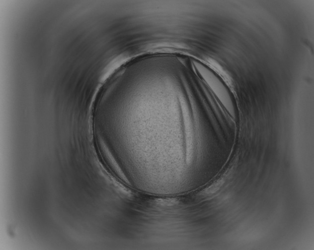 X0000091691384200709201250