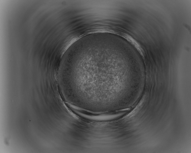 X0000091691385200709201250