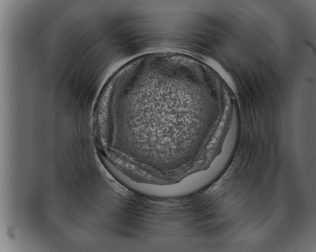 X0000091691388200709201250