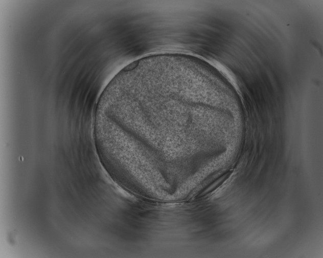 X0000091691390200709201250