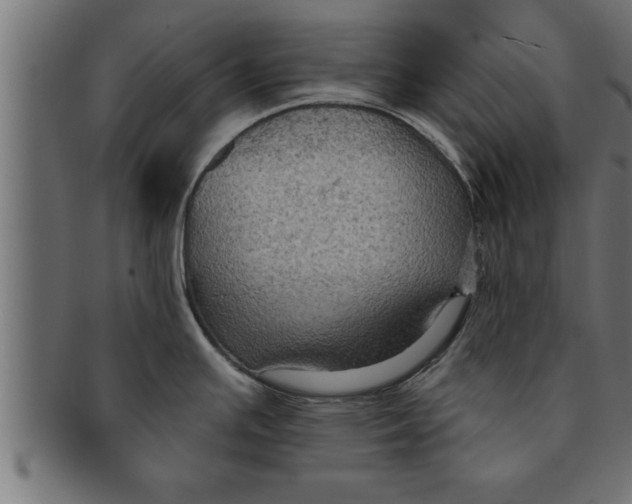 X0000091691391200709201250