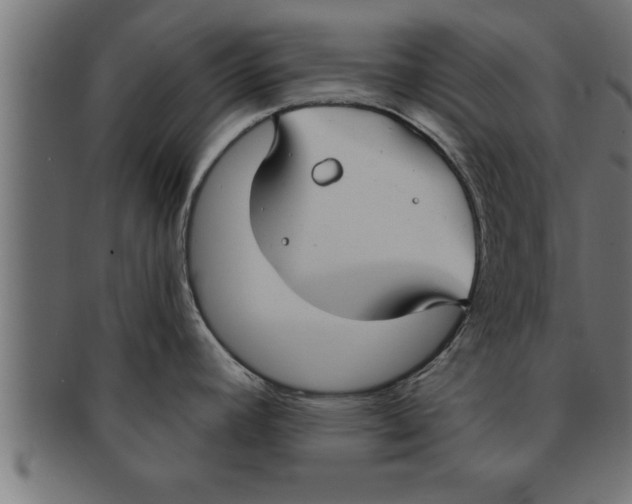 X0000091691392200709201250