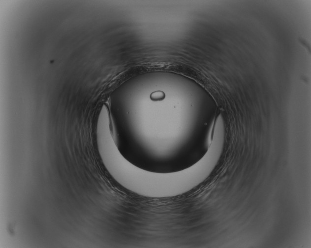 X0000091691394200709201249