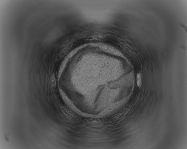 X0000091691395200709201249