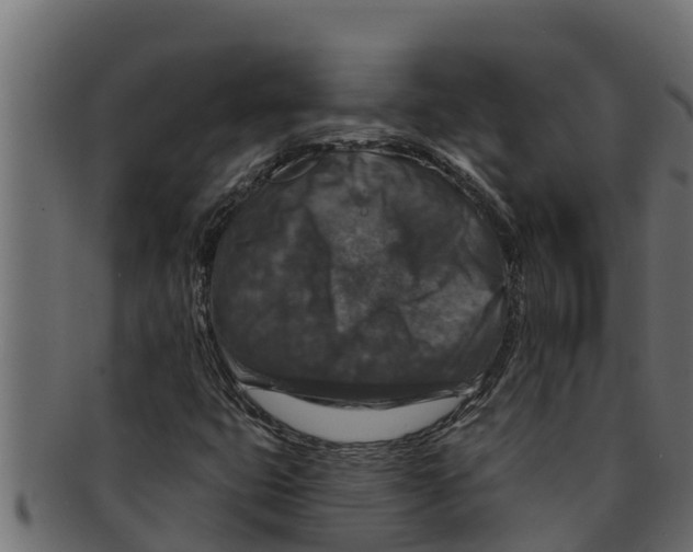 X0000091691399200709201249