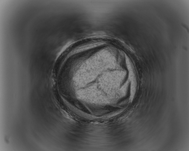 X0000091691400200709201249