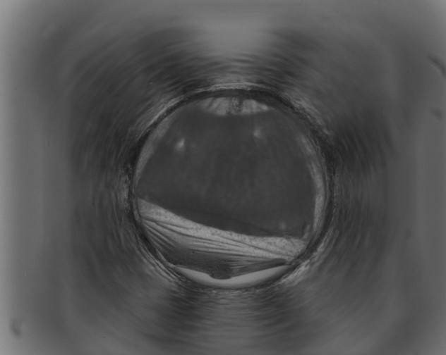 X0000091691401200709201249