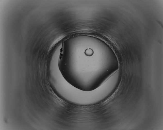 X0000091691402200709201249