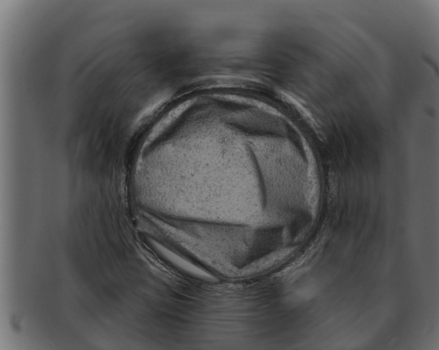 X0000091691403200709201249