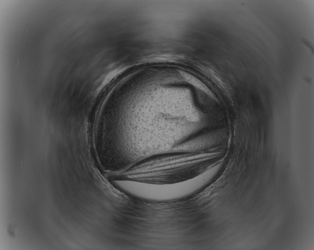 X0000091691404200709201249