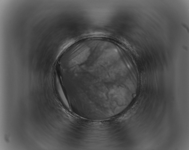 X0000091691405200709201249