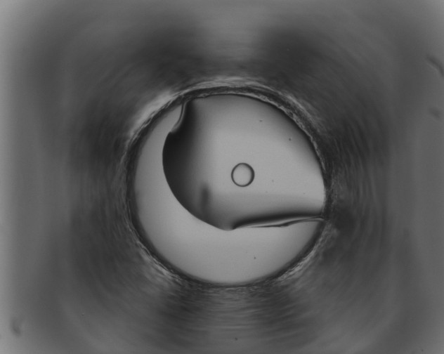 X0000091691406200709201249