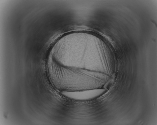 X0000091691407200709201249