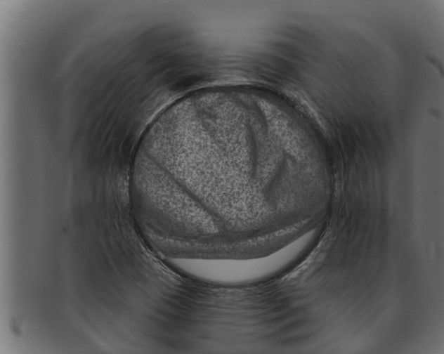 X0000091691409200709201249