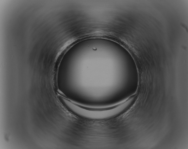 X0000091691410200709201249