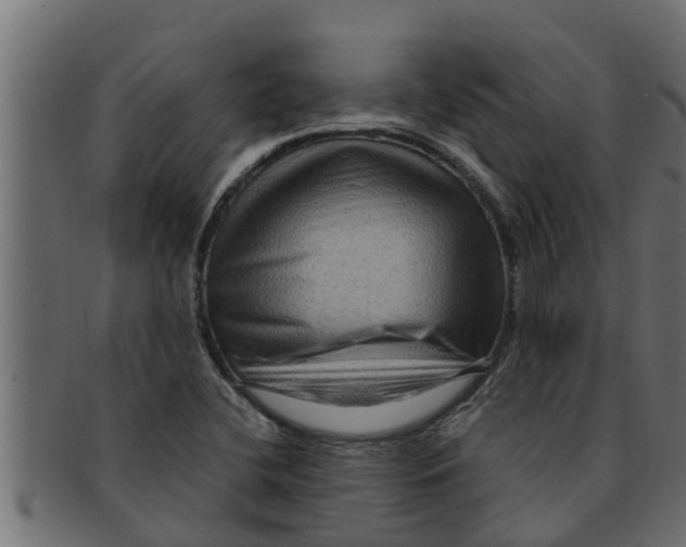 X0000091691412200709201249