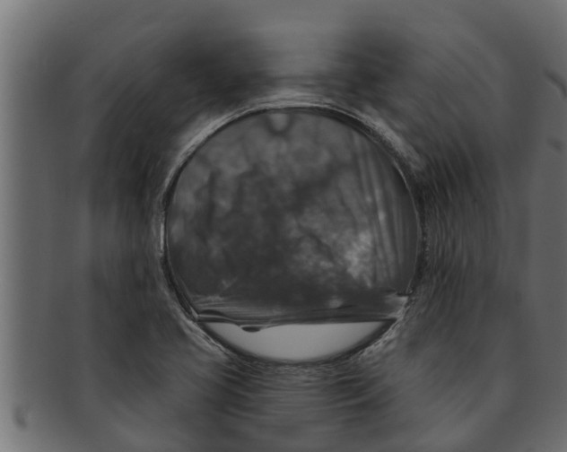 X0000091691413200709201249