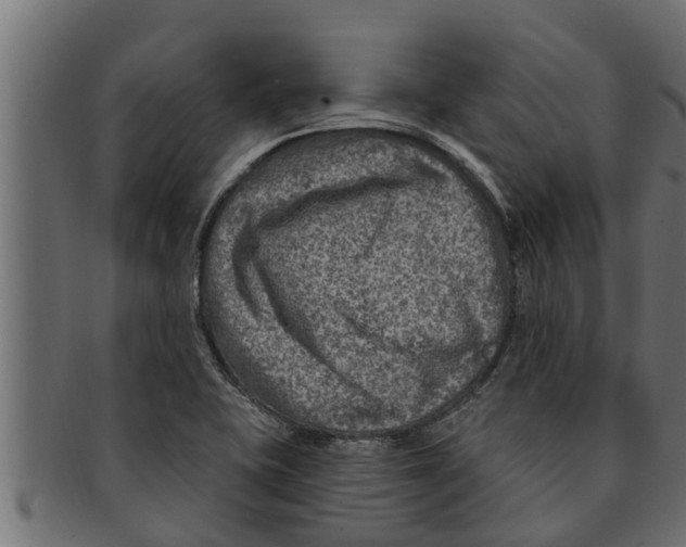 X0000091691415200709201249