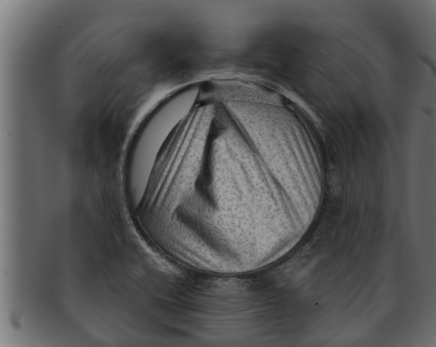 X0000091691416200709201249