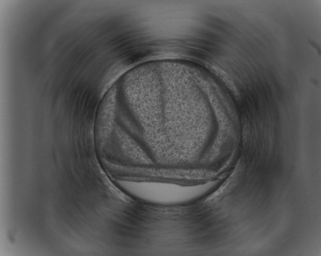 X0000091691417200709201249