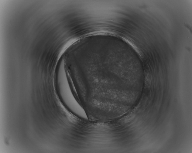 X0000091691418200709201249