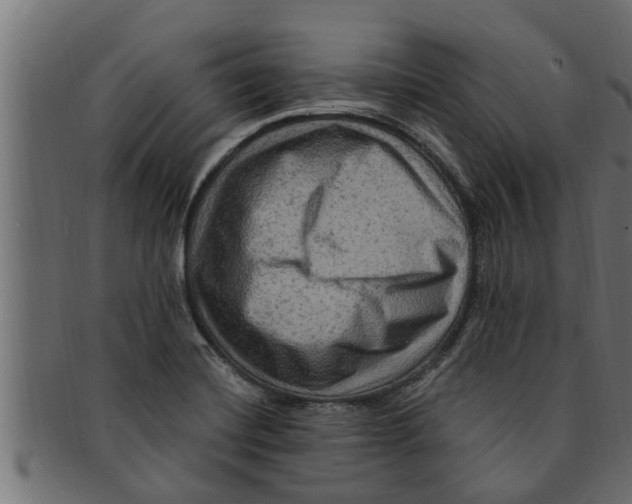 X0000091691420200709201249