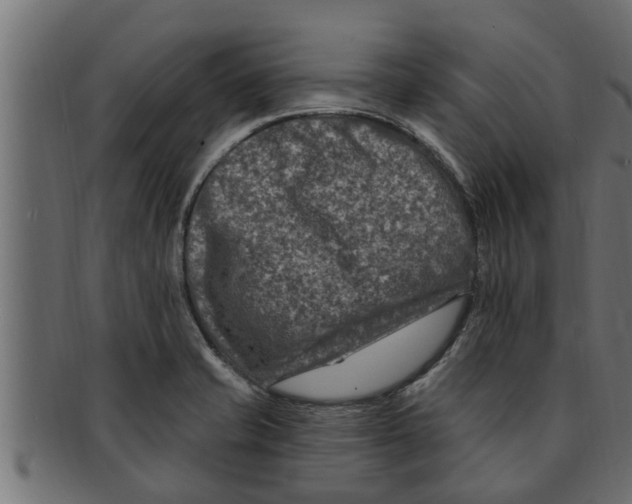 X0000091691421200709201249