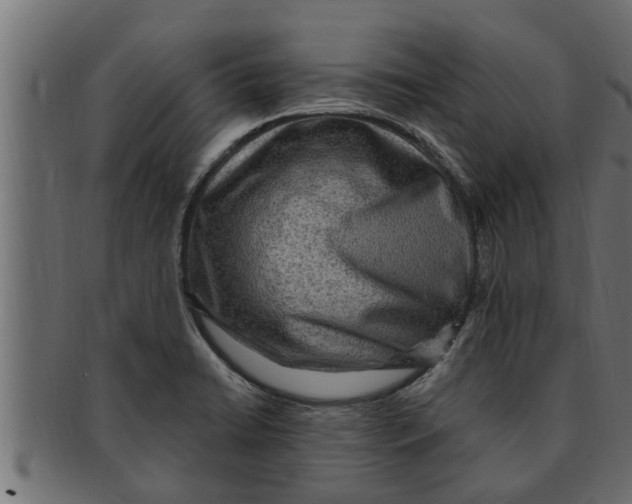 X0000091691422200709201249