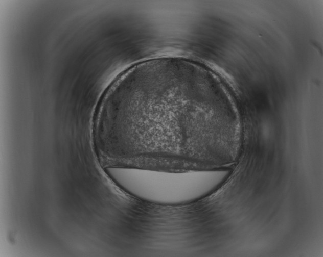 X0000091691423200709201249