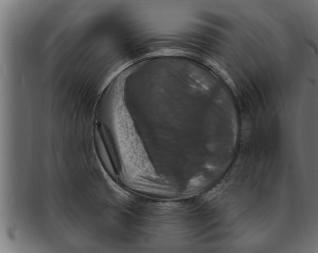 X0000091691425200709201250