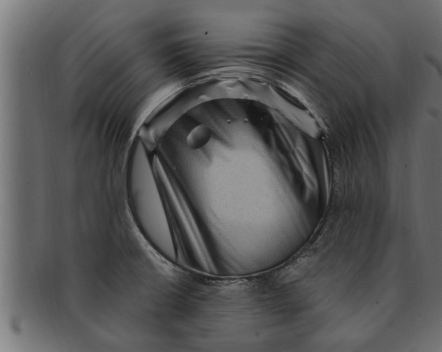 X0000091691426200709201250