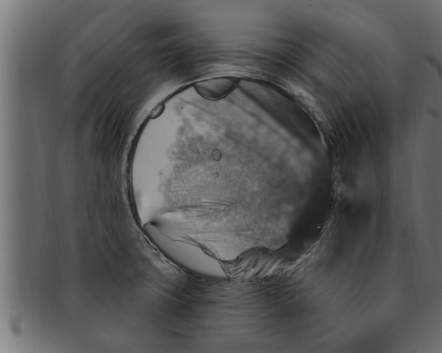 X0000091691427200709201250