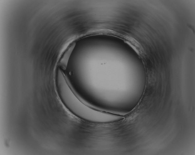 X0000091691430200709201250