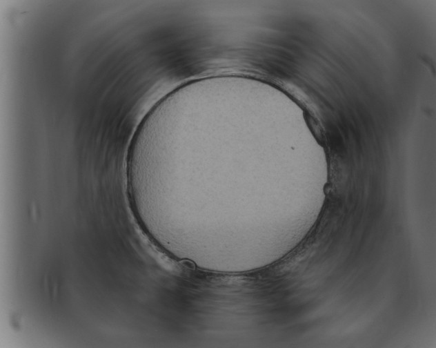 X0000091691431200709201250